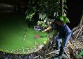 Cari Ikan Pakai Alat Setrum, Pria di Grobogan Ditemukan Tewas Mengapung