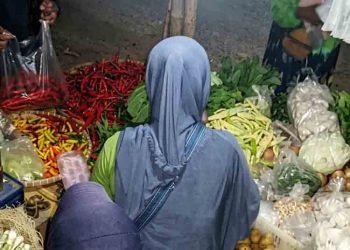 Harga Sayur di Pekalongan Merosot Tajam, Diduga Imbas MBG Libur