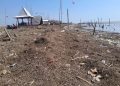 Limbah Ketela dan Sampah Penuhi Pantai Lestari di Bulumanis Pati, Warga Mengeluh