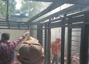 Rugi Rp250 Juta, Kebakaran Rumah di Brati Grobogan Hanguskan 2 Unit Motor