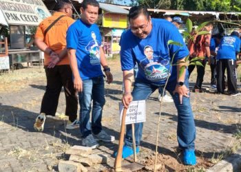 Fraksi Demokrat Tanam Tabebuya, Harap Alun-Alun Kembangjoyo Pati Makin Asri