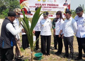 Bupati Kendal Sambut Program NBS-Agroforestry, 1.100 Hektar Lahan Bakal Ditanami Pohon 2 Bupati Kendal Sambut Program NBS-Agroforestry, 1.100 Hektar Lahan Bakal Ditanami Pohon
