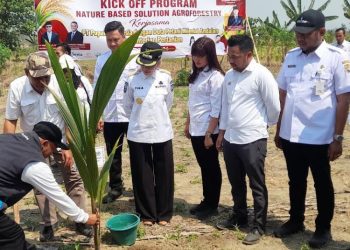 DPP Kendal Dukung NBS Agroforestry, Lahan 350 Hektar Bakal Dikembangkan untuk Kopi 1 DPP Kendal Dukung NBS Agroforestry, Lahan 350 Hektar Bakal Dikembangkan untuk Kopi