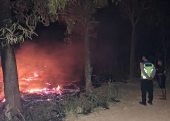 Kandang Ternak di Karangasem Grobogan Terbakar, Satu Sapi Mati