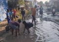 Jalan Rusak Parah, Warga Godo Pati Tebar Ikan Lele di Lubang Jalan
