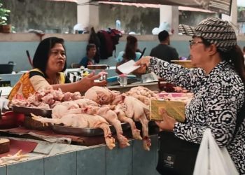 Harga Daging Ayam di Salatiga Tembus Rp40 Ribu, IRT dan Pedagang Mengeluh