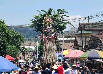 Dukung Pelestarian Meron Sukolilo, DPRD Pati Ungkap Potensi di Sektor Ekonomi