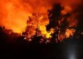 Potensi Kebakaran Hutan dan Lahan di Grobogan Tinggi, 23 Titik Panas Terdeteksi