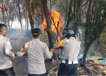 Kebakaran Lahan Kosong di Pantai Tegalsari, Polisi Selidiki Asal Mula Api