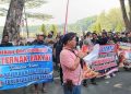 Tertekan Akibat Harga Pakan Tinggi, Peternak Grobogan Tuntut Penyerapan dari SPPG