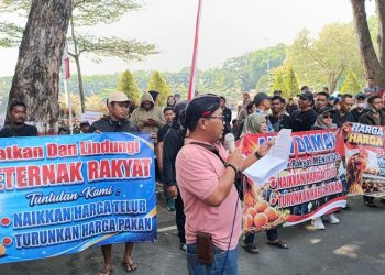 Tertekan Akibat Harga Pakan Tinggi, Peternak Grobogan Tuntut Penyerapan dari SPPG