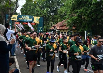Diikuti Ribuan Pelari, Kajen Half Marathon Jadi Ajang Promosi Wisata Pekalongan