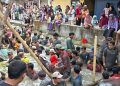 250 Kilogram Ikan Ditebar, Ribuan Warga Kesesi Pekalongan Berebut Tangkap Ikan