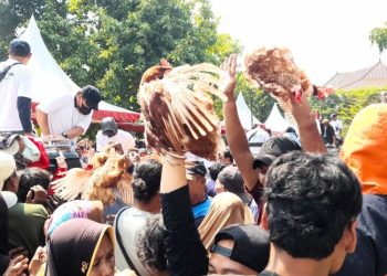 15 Ribu Ayam Dibagikan Gratis, Peternak Kendal Tuntut Stabilisasi Harga Pakan dan Telur