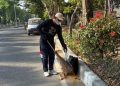 ASN DLH Rembang Nyapu Jalan Usai 61 Tenaga Kebersihan Berhenti Bekerja