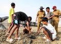 Bau Bangkai Ikan Sapu-Sapu di Bendung Karet Pati Ganggu Warga, Gubernur Jateng Minta Dikubur