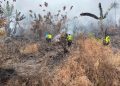 Cegah Api Dekati Permukiman, Kebakaran Area Hutan di Bubak Pekalongan Dipantau