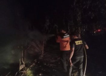 Pemilik Rugi Rp1,8 Miliar Imbas 30 Ribu Ayam di Blora Mati Kebakaran di 2 Kandang