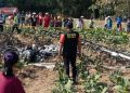 Hendak Menuju Malang, Pesawat Latih TNI AU Jatuh dan Terbakar di Ngawen Blora