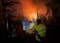 Api Bakar Lahan Tebu Seluas 1 Hektar di Desa Kemasan Pekalongan 14 Api Bakar Lahan Tebu Seluas 1 Hektar di Desa Kemasan Pekalongan