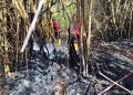 Tangani 60 Kebakaran Lahan, BPBD Rembang Imbau Warga Tak Bakar Lahan Selama Kemarau