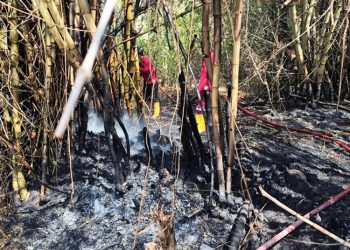 Tangani 60 Kebakaran Lahan, BPBD Rembang Imbau Warga Tak Bakar Lahan Selama Kemarau
