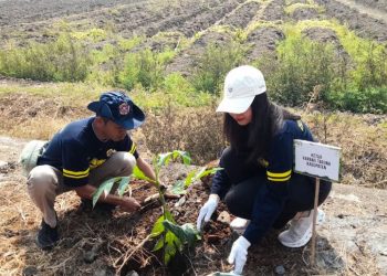 Karang Taruna Kendal Tanam 150 Bibit Sukun, Nattaya Harap Beri Manfaat