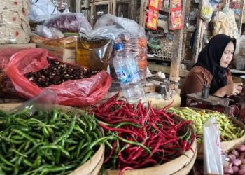 Harga Cabai Naik dari Rp30 Ribu ke Rp60 Ribu di Blora Pekan Ini