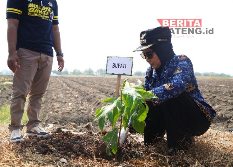 Tanam Bibit Sukun, Bupati Kendal Siap Dukung Program Konservasi Lingkungan 1 Konsep Otomatis