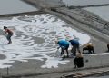 Festival Garam Dasun Pilih 10 Seniman Ciptakan Lukisan Garam (meneruskan) Nasirun