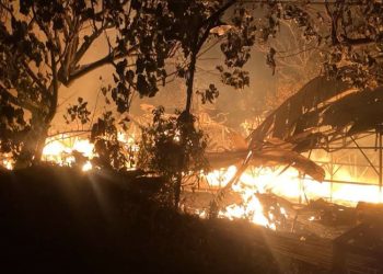 Pemilik Kandang Ayam di Jepara Rugi Rp800 Juta Imbas Kebakaran 2 Pemilik Kandang Ayam di Jepara Rugi Rp800 Juta Imbas Kebakaran