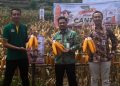 Produksi Jagung Rembang Capai 198.061 Ton, Sejumlah Kecamatan Jadi Lumbung Utama